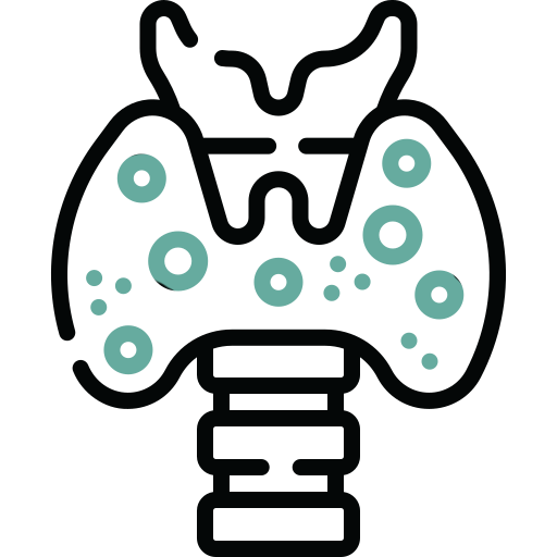 الغدد الصماء